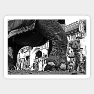 Walking My Elephant Atmospheric exotic B W Photography Sticker